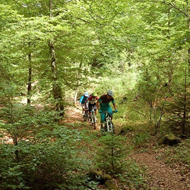 Tour des Lacs - VTT - n°18