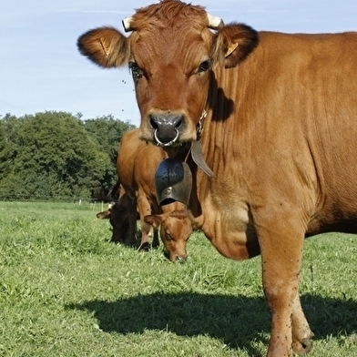 Ferme du Rondeau