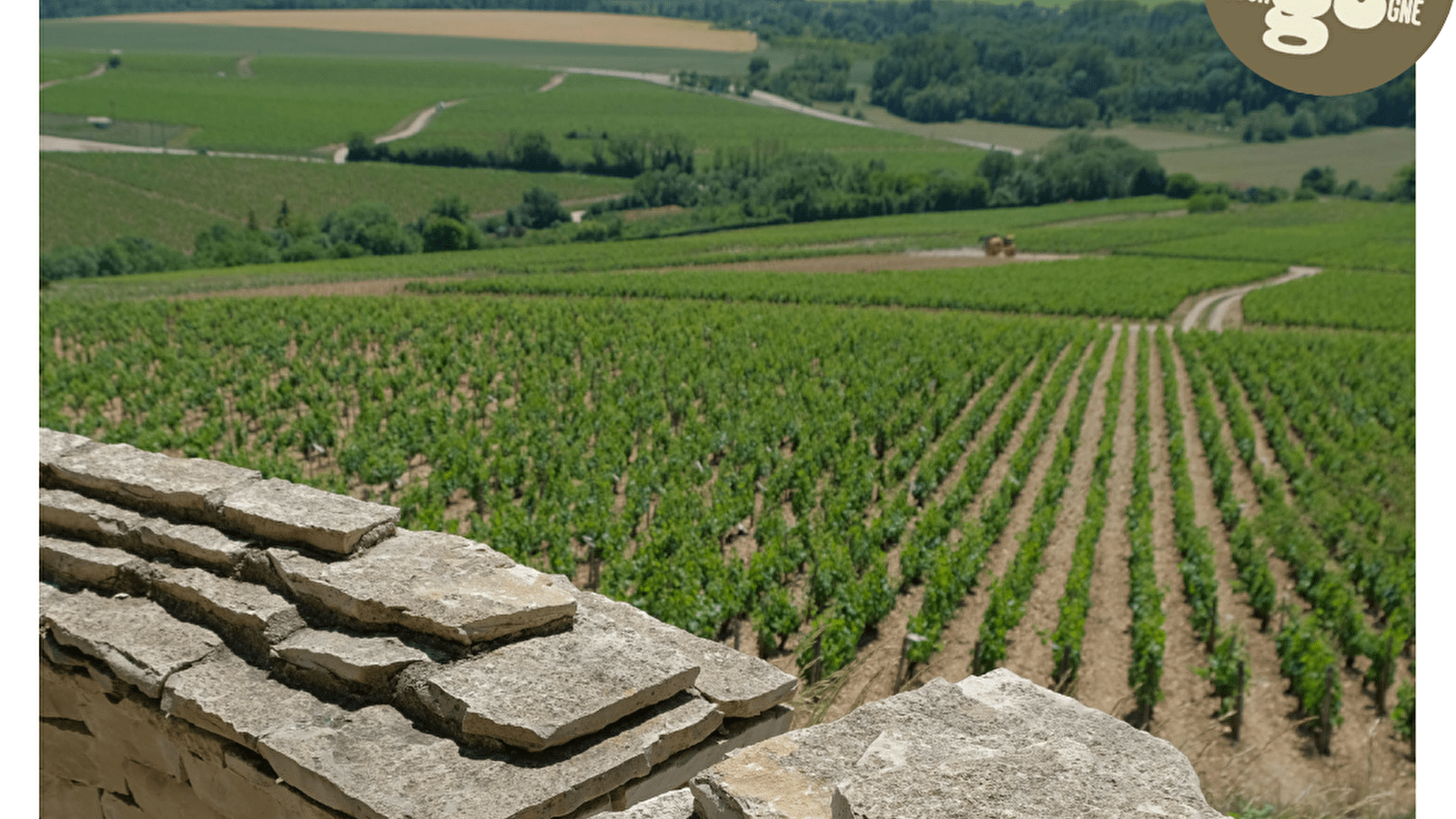 Cap sur les 'Grands Crus'