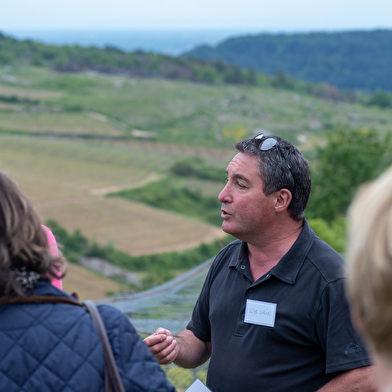 L'Atelier de la Vigne et du Vin