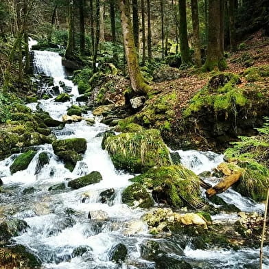 Source de l'Angillon