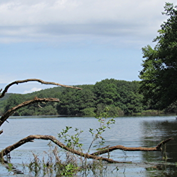 La biodiversité de la retenue d'eau du Pont du Roi - SAINT-EMILAND