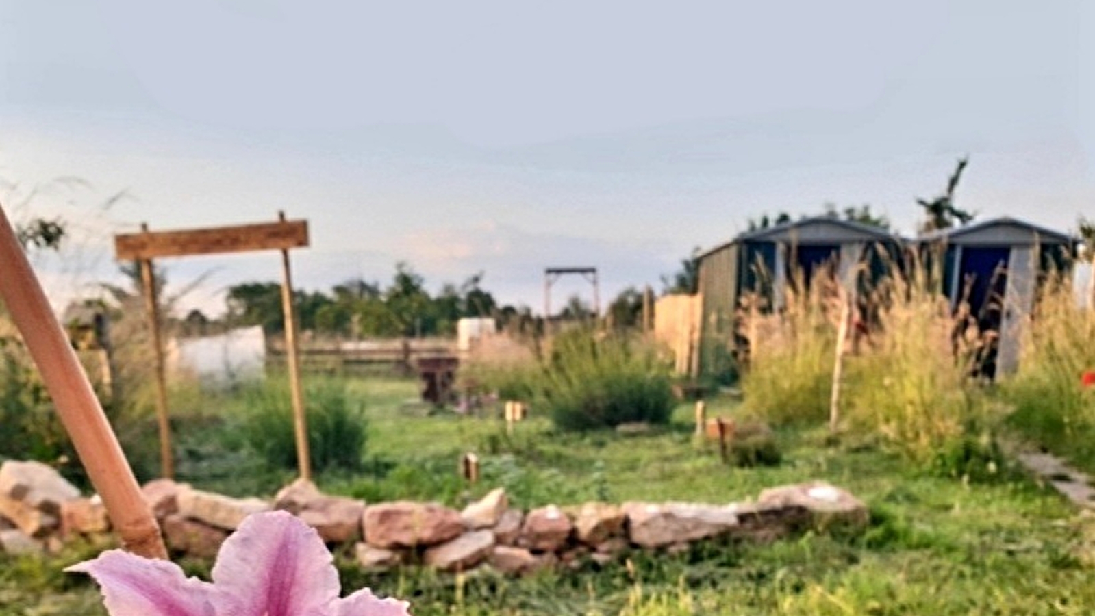 Visite des Jardins d'éveil à la Nature