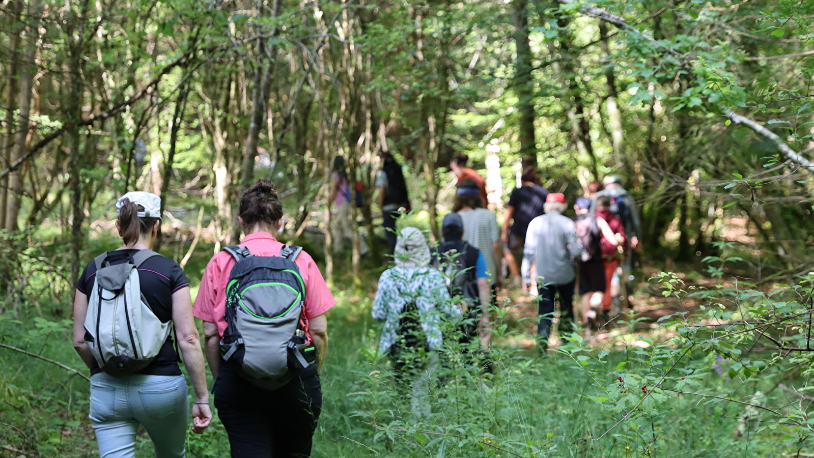Super Rando au Parc national de forêts