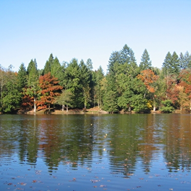 Arboretum Domanial de Pézanin