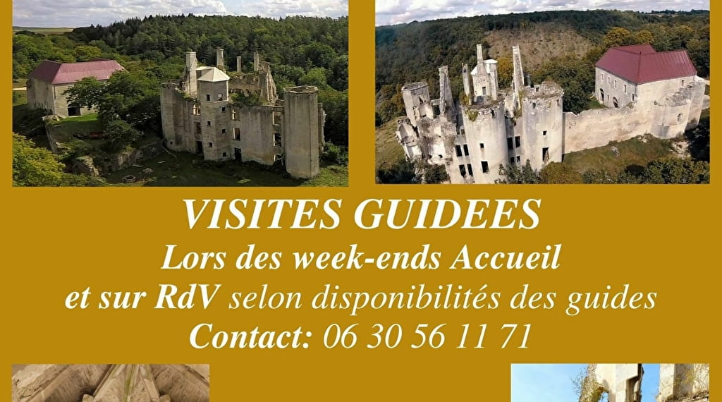 Visites du château de Rochefort toute l
