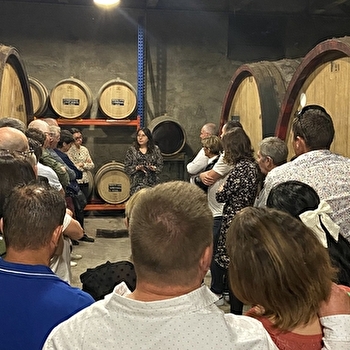 Visite de cave et dégustation au Château Béthanie - ARBOIS