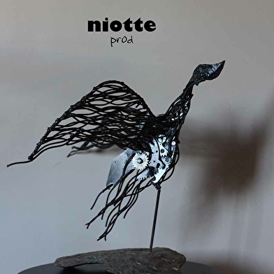 Niotte prod