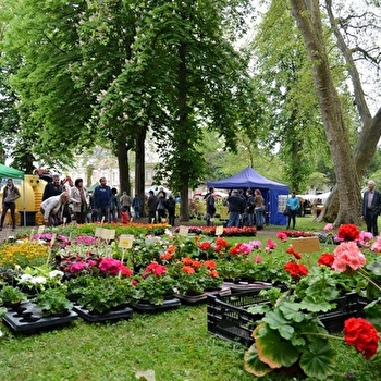 Jardipougues : Fête des plantes, du terroir et du jardin - POUGUES-LES-EAUX