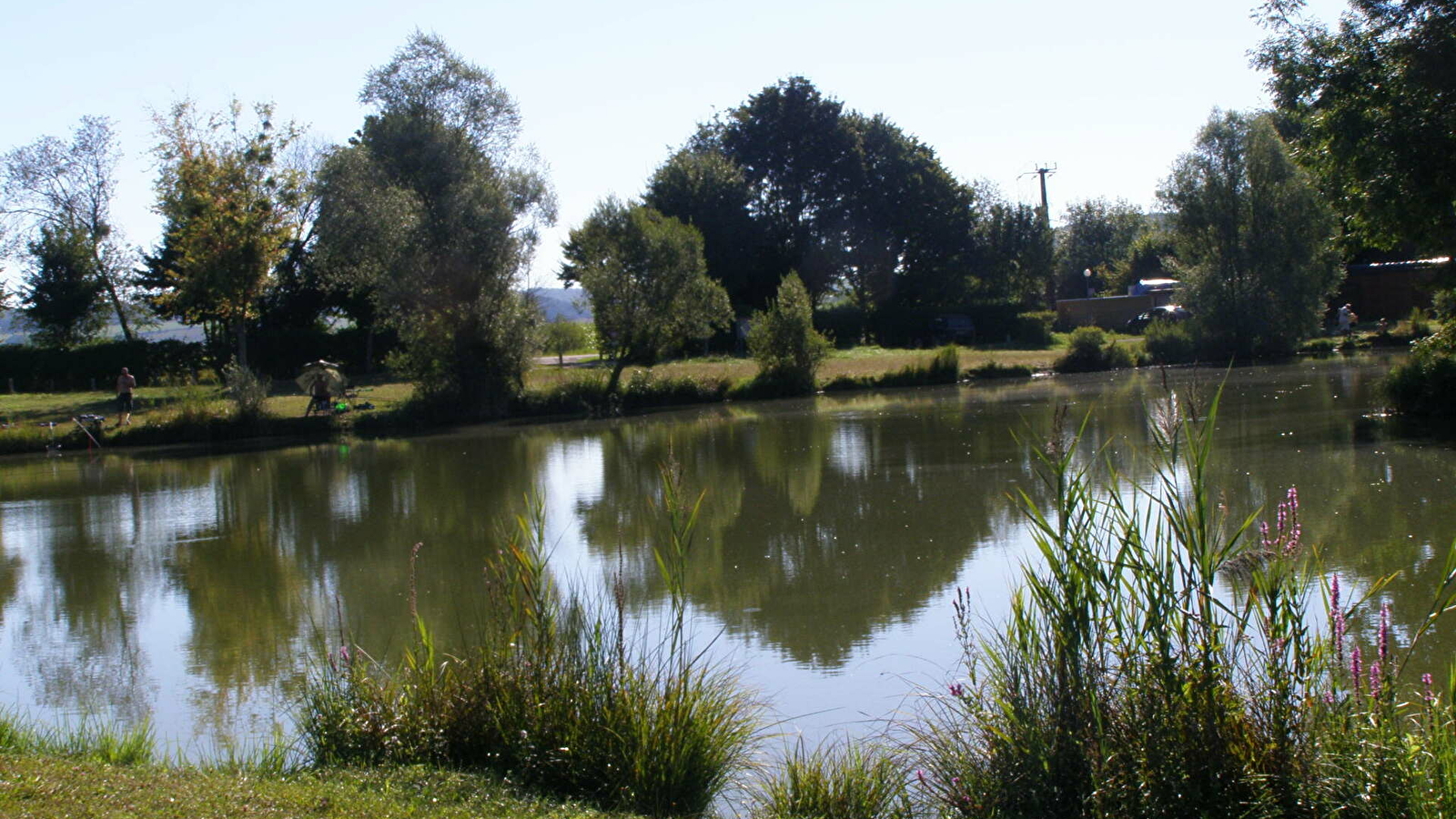 Le camping du Marais