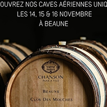 Domaine Chanson - Visite des caves & dégustation spéciale Vente des Vins 2025 de 6 grands vins - BEAUNE