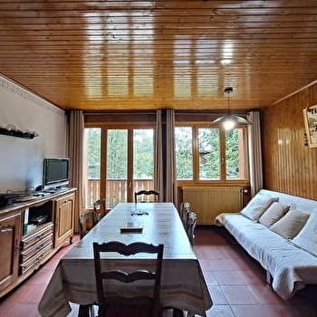 Appartement - chalet l'Igloo - P611GAME0 - PREMANON
