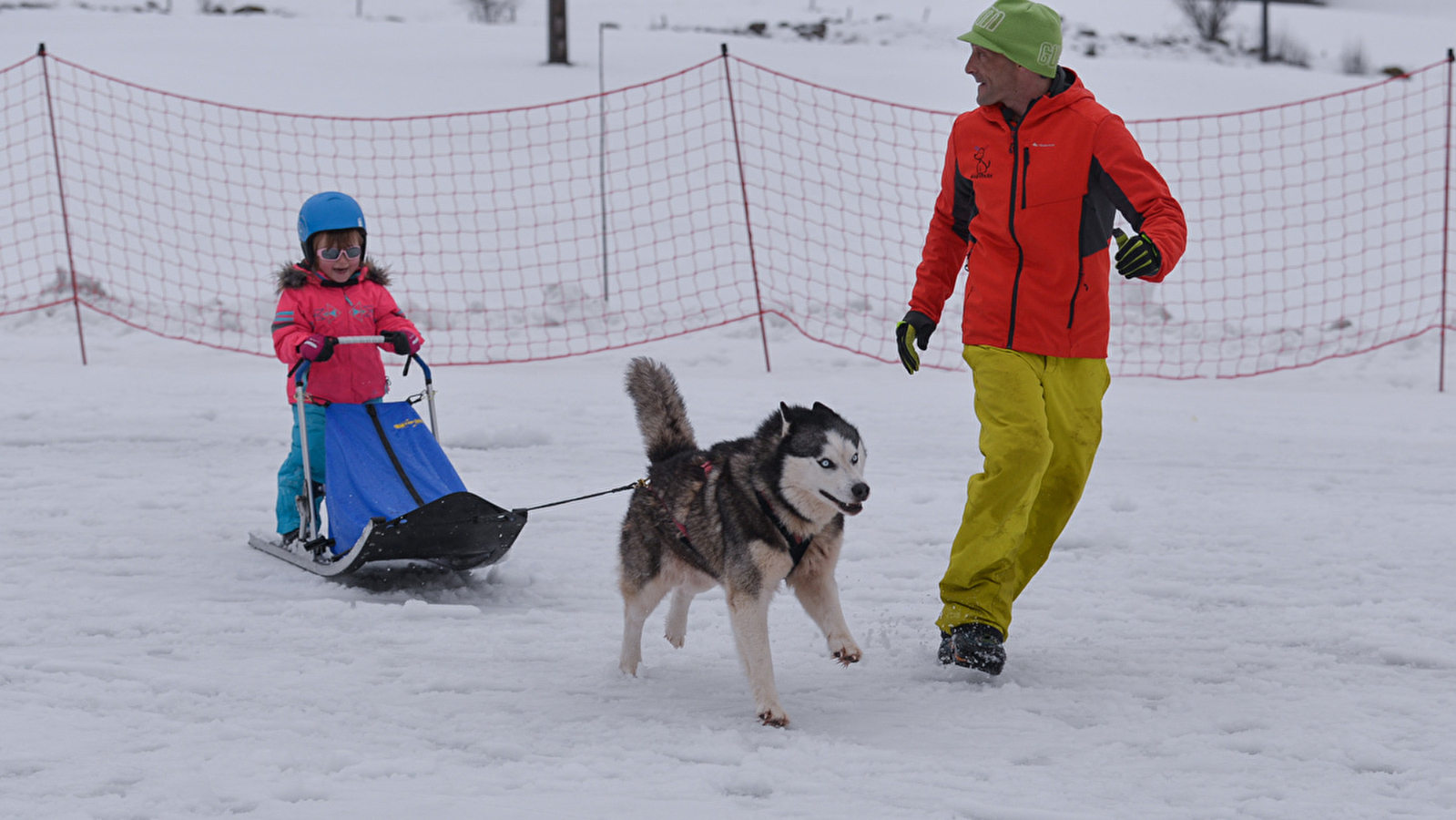 Free Sled - Baby Park et Traîneaux Kids