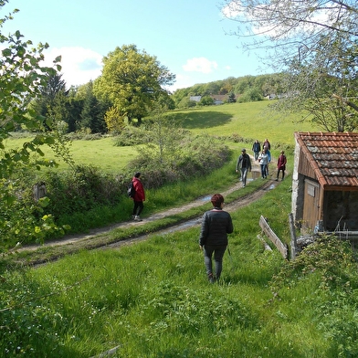 Balade mi-ville / mi-chemin à Lormes