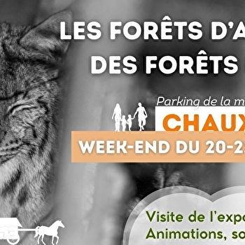 Exposition et animations · Les forêts d'altitude, des forêts de liens - CHAUX-NEUVE