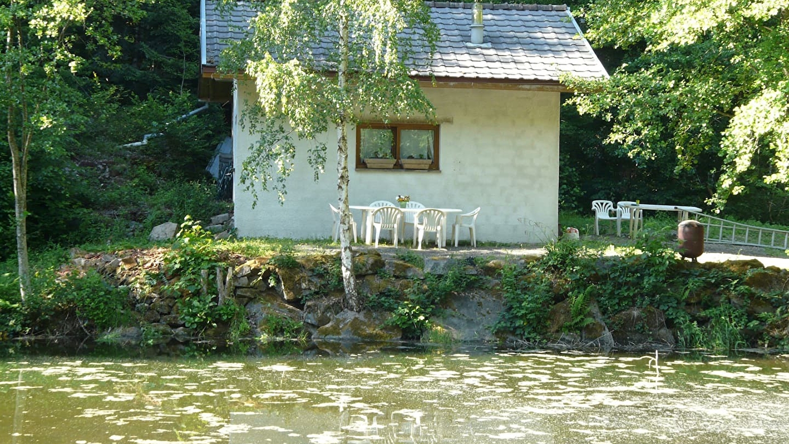 Le nid du moulin des oiseaux