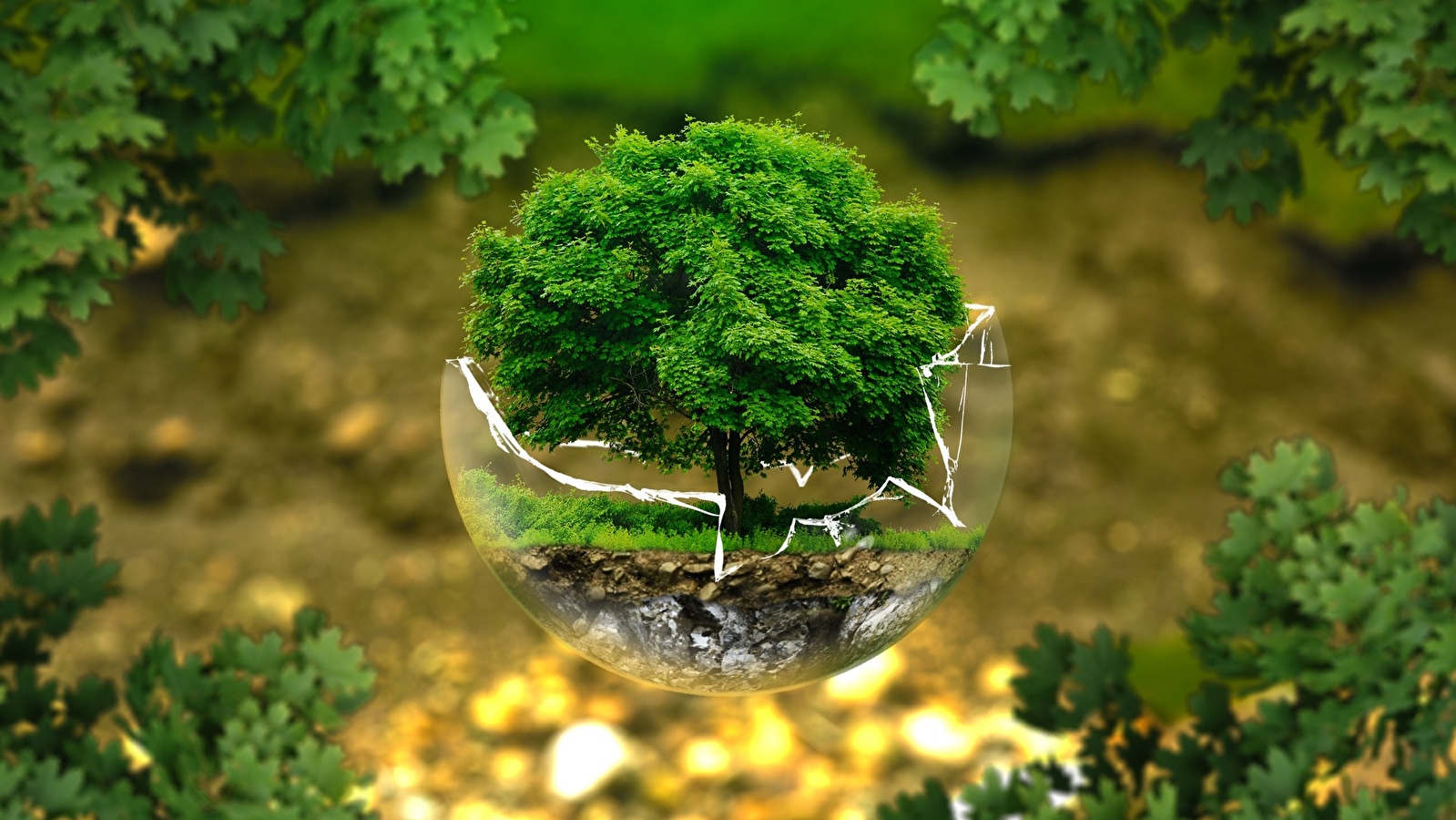 Programmation: Fête de la nature