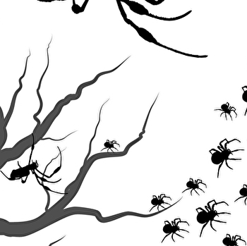 Chasse aux araignées - MACON