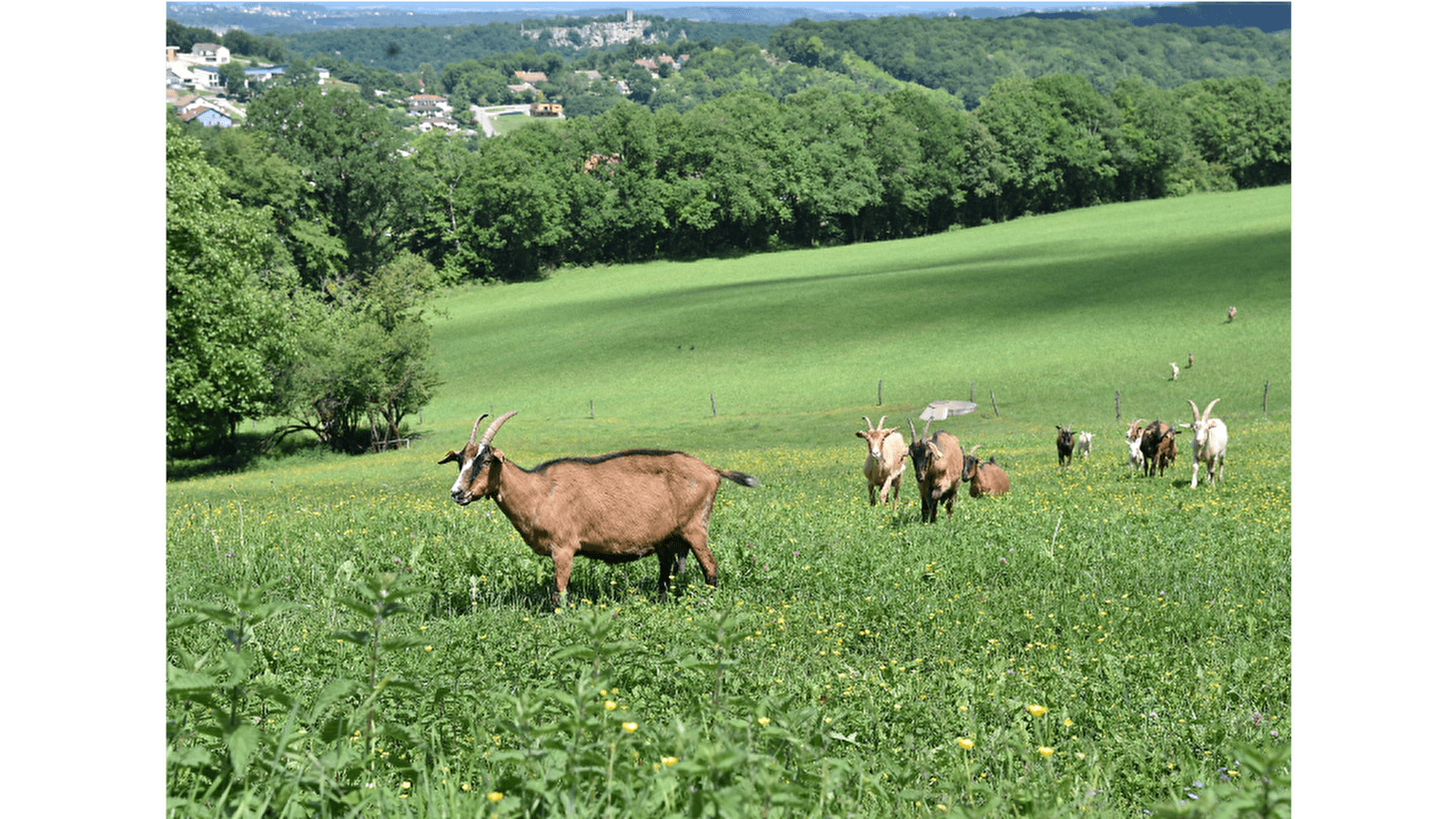 Sentier des Crêtes