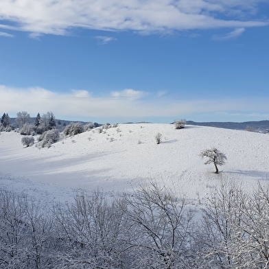 Ô Fil du Doubs