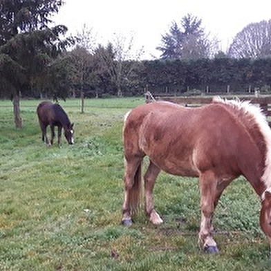 Le Petit Biguereaux