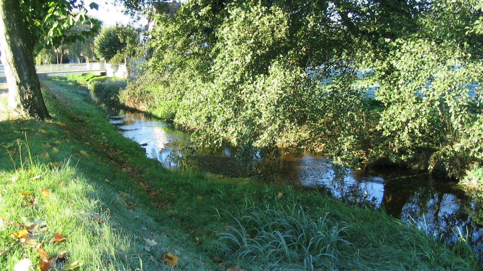 Rivères Garat et Guignon à Moulins-Engilbert