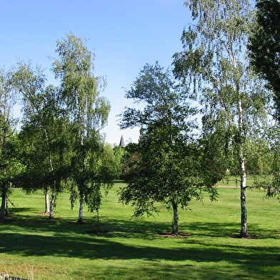 Paray-le-Monial : circuit n°6 - Charolais, Palinges et canal du Centre