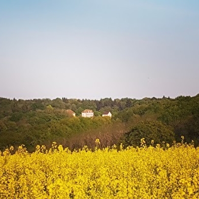 Meublé Forêt Tuilerie de Talouan