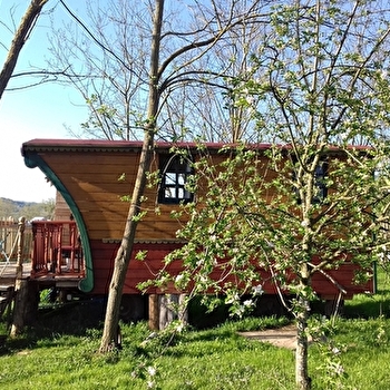 La Roulotte de la Ferdière du Bas - NAVOUR-SUR-GROSNE