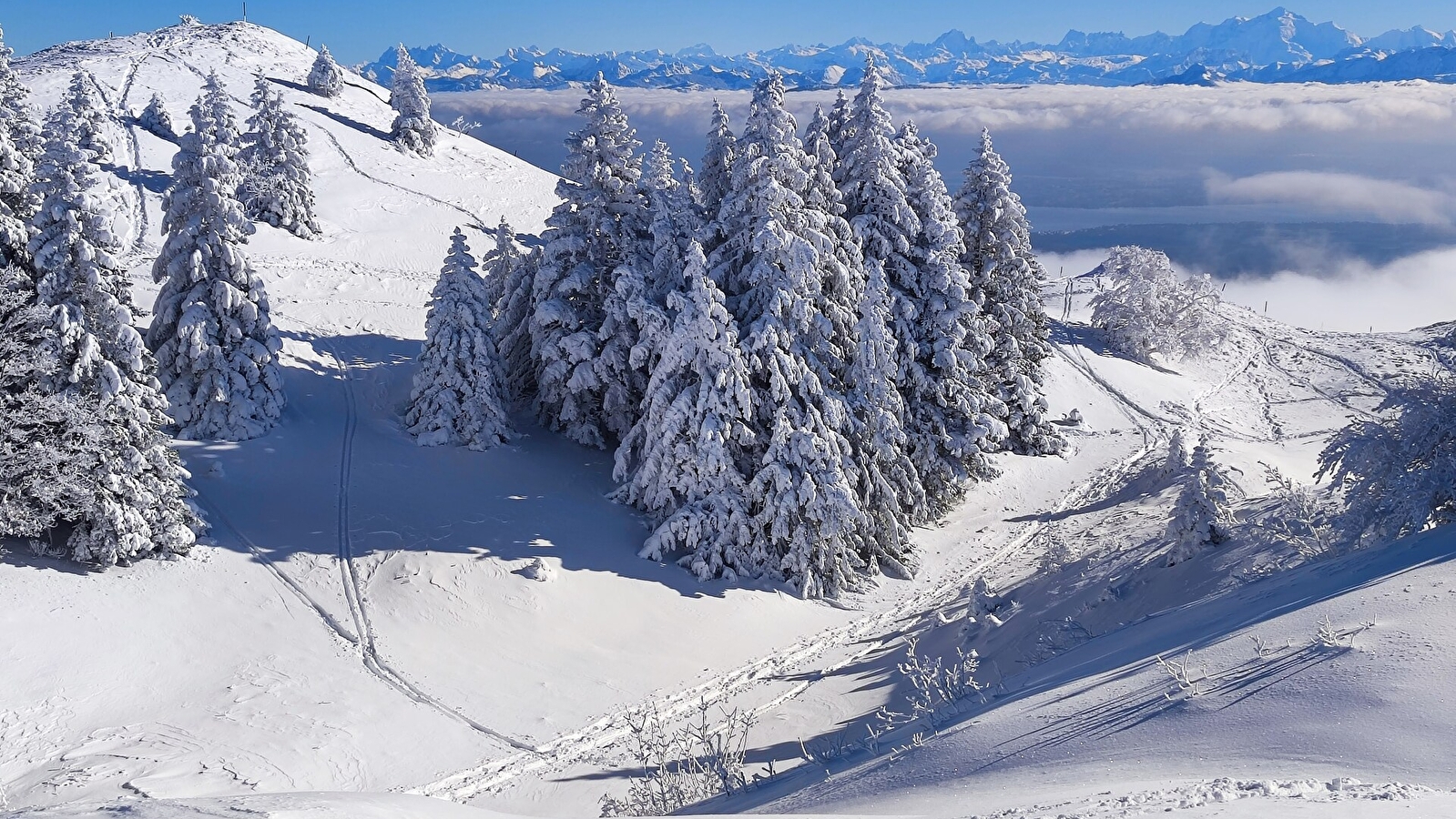 Sentier raquettes Les Montronds