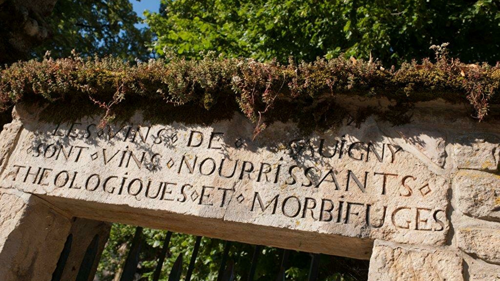 Village de Savigny-lès-Beaune