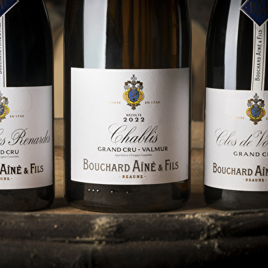 Bouchard Ainé & Fils - Dégustation spéciale Vente des Vins 2025 (9 vins dont 3 Grands Crus)
