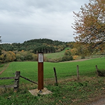 Lieu de parachutage - Seconde Guerre mondiale - PRESSY-SOUS-DONDIN