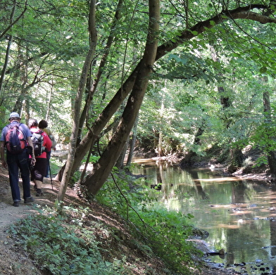 Balade vers le pont siphon du Garon de l'Aqueduc romain du Gier