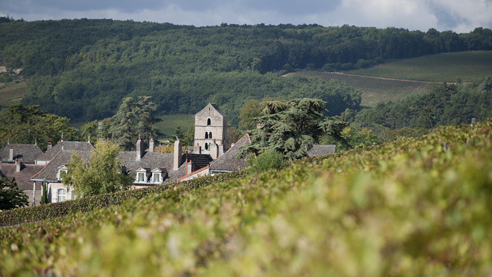 Domaine Ninot (Visite-dégustation - Rully et Mercurey, les secrets de nos terroirs)