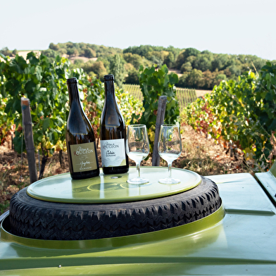 Domaine du Château de Rougeon - Découverte en Méhari