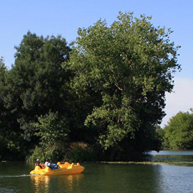 Location de pédalos - La plage de Seurre