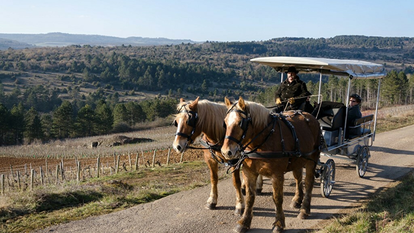 Attelage Beaune Passion