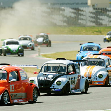Fun Racing Cars 