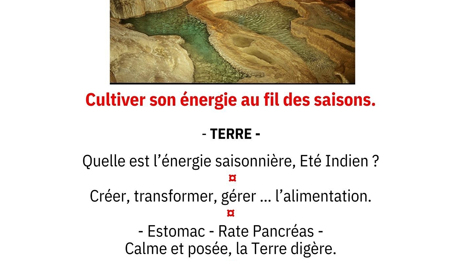 Atelier SHIATSU ' Cultiver son énergie au fil des saisons '