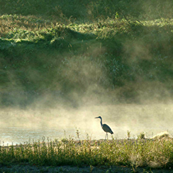 La Réserve Naturelle du Val de Loire - LA CHARITE SUR LOIRE