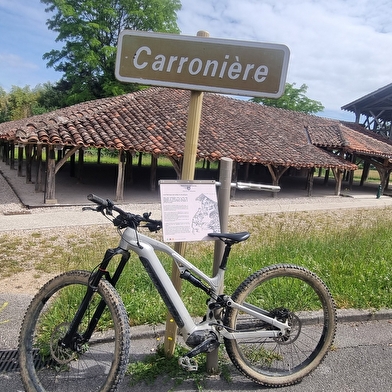 Liaison VTT-VTC (L7) St Trivier de Courtes - Dunes de la Charme (Sermoyer)