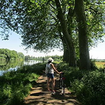 La Voie Bleue Moselle-Saône à vélo - GRAY