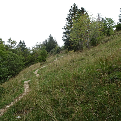 Randonnée pédestre : sur les traces des passeurs