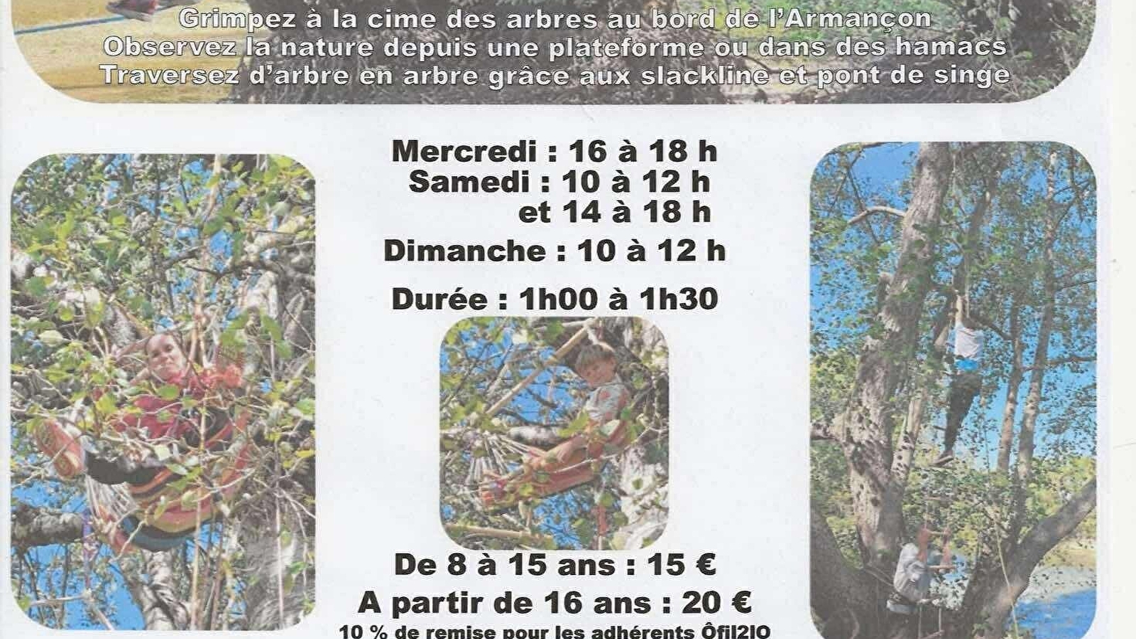 Grimpe d'arbre