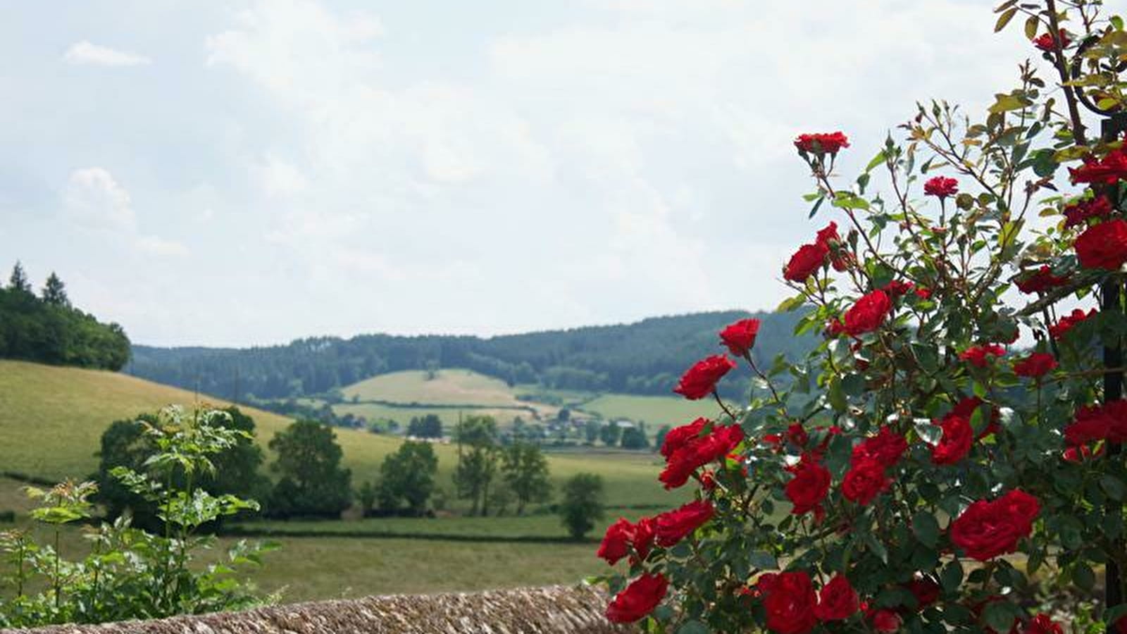 Randonner à Lucenay 