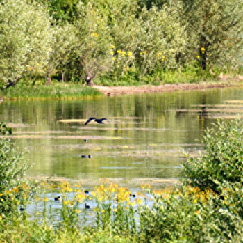 Halte de Mailly - LES MAILLYS