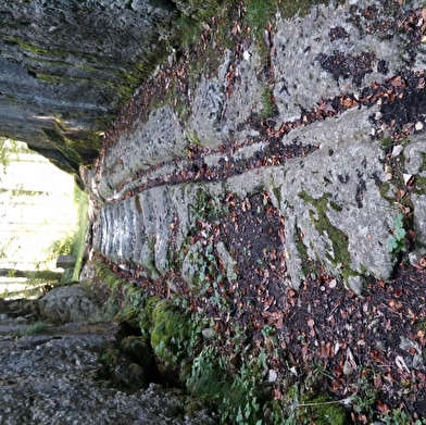 Le sentier du passage antique de Chalamont