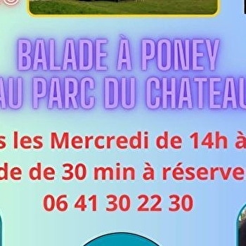 Balade à poneys au château - SAINT-AMAND-EN-PUISAYE