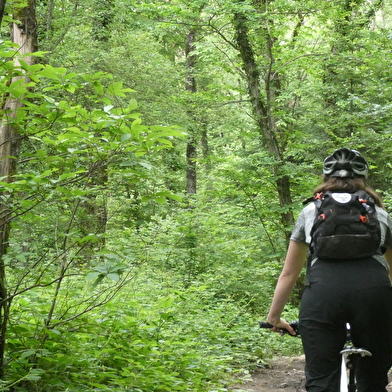 Parcours VTT 80 - vert - les Devins - Espace FFC Ain Forestière